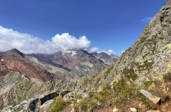 IMG_9920-modified